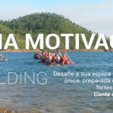 ENERGIA MOTIVACIONAL